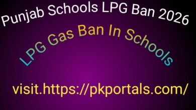 Punjab Schools LPG Ban 2026 - LPG Gas Ban In Schools