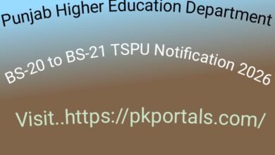 Punjab Higher Education Department BS-20 to BS-21 TSPU Notification 2026