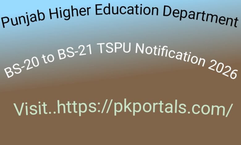 Punjab Higher Education Department BS-20 to BS-21 TSPU Notification 2026